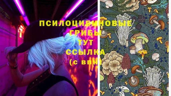 кокаин Алексин