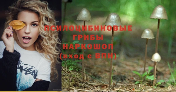 марки lsd Алзамай