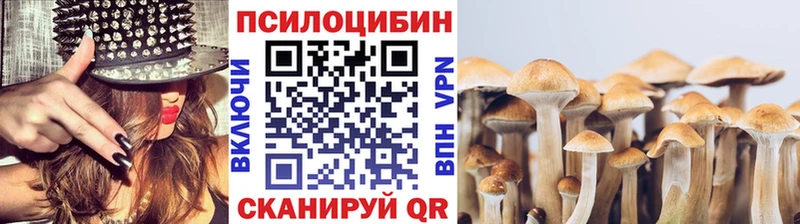 Псилоцибиновые грибы прущие грибы  hydra зеркало  Макушино 
