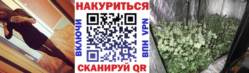 Бошки Шишки Amnesia  дарнет шоп  Макушино 